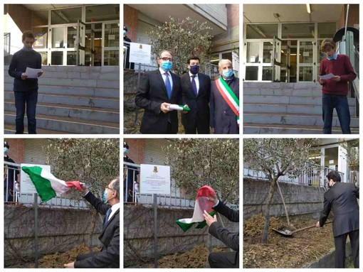 Imperia: una pianta d'ulivo per ricordare il funzionario di polizia Giovanni Palatucci (foto e video)