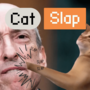 Come acquistare SLAP, la meme coin felina del gatto schiaffeggiante