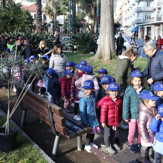 I bambini dell'asilo di Arma di Taggia donano un ulivo per i giardini di via Magellano (Foto e Video)