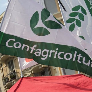 Sanremo: il 28 giugno al Mercato dei Fiori l'assemblea annuale dell’Unione provinciale agricoltori di Imperia