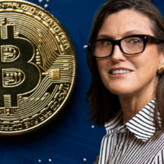 Secondo Cathie Wood Bitcoin potrebbe arrivare fino a 3,8 milioni di dollari
