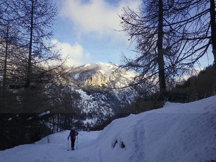 Attraverso le Alpi Liguri: domenica 14 febbraio ciaspolata nel Vallon De Fontanalbe