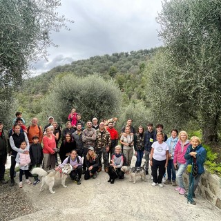 Castel Vittorio: grande successo della 7a giornata nazionale della camminata tra gli olivi