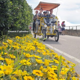 In un libro tutti i segreti dei fiori e delle piante della pista ciclabile