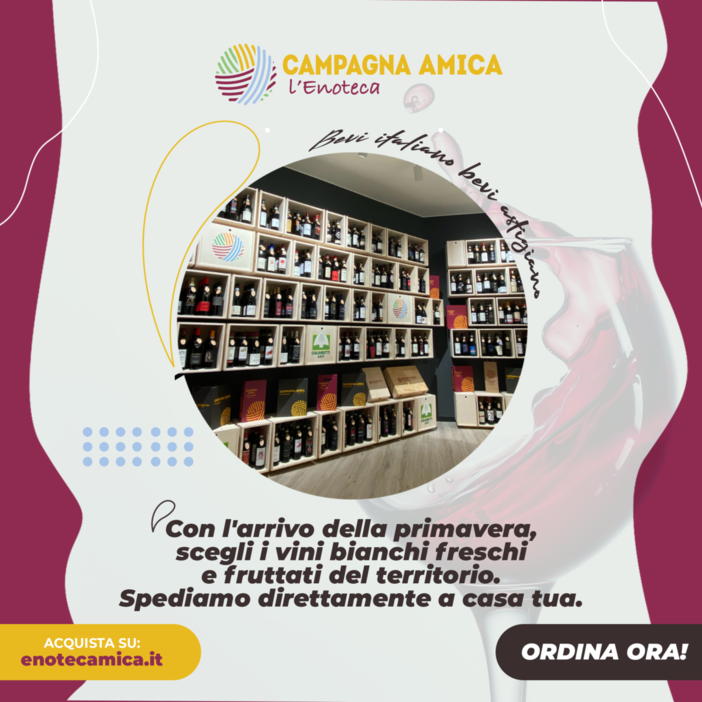 Con l’arrivo della primavera, i vini bianchi freschi e fruttati direttamente a casa tua