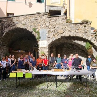 Castel Vittorio: successo per la 6a Giornata Nazionale della Camminata tra gli Olivi (foto)