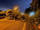 Imperia, tragedia sfiorata: albero crolla in mezzo alla strada alla Rabina (foto)