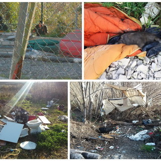 Ventimiglia: anche una carcassa di cinghialotto tra le discariche a cielo aperto sul lungo Roia