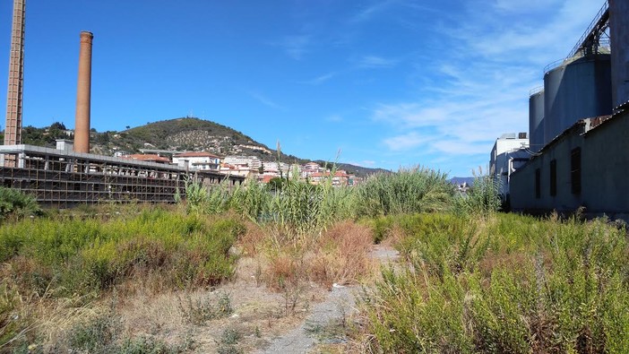 Imperia: guasto a un tubo alla foce dell'Impero, il sindaco ordina a Rivieracqua di ripararlo