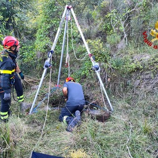 Cipressa,  cane da caccia cade in un pozzo: salvato da vigili del fuoco con il supporto del Saf (foto e video)