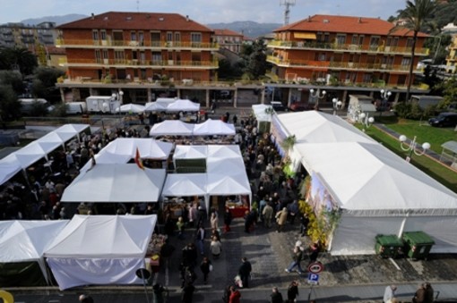 San Bartolomeo al Mare: tutto pronto per la Candelora, il mercato tradizionale all'aperto più caratteristico del ponente ligure