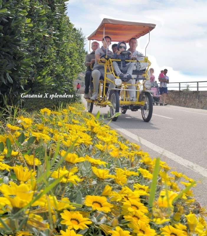 In un libro tutti i segreti dei fiori e delle piante della pista ciclabile