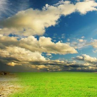 Cambiamento climatico in Liguria: le acque marine toccano i 26 gradi, sui monti si percepisce lo stress degli alberi e della terra a causa della siccità