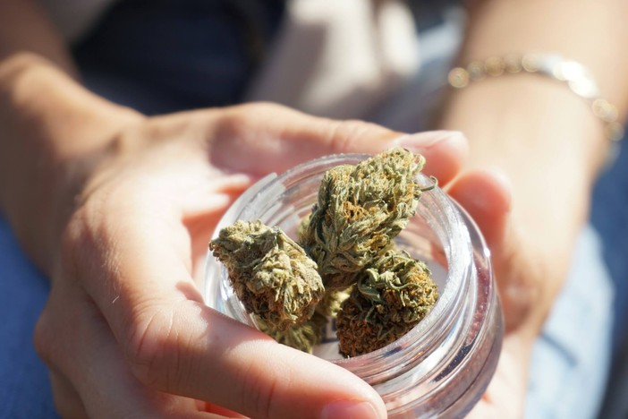La cannabis legale dell'erba proibita: tutto quello che devi sapere