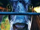 Sanremo: domani sera alle 21, al Teatro del Casinò la proiezione del film Cowspiracy