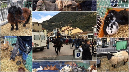 Badalucco: tante persone per la 'Benedizione degli animali e del sale', le foto della mattinata