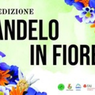 A Biella, Candelo in Fiore 2024: Una edizione tutta dedicata agli Alpini