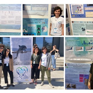 Missione in Spagna per il team di biologi e ricercatori dell’Associazione Delfini del Ponente