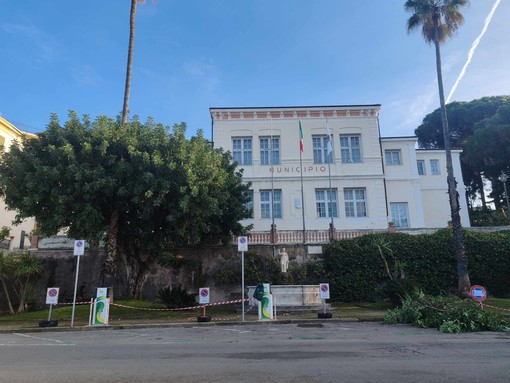 Bordighera, manutenzione del verde: scatta il divieto di sosta in piazza de Amicis (Foto)