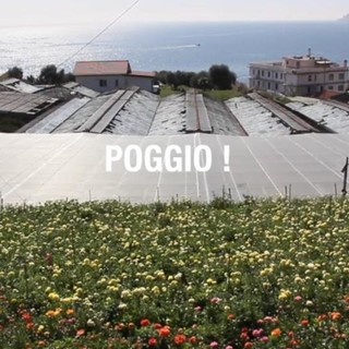 &quot;Poggio!&quot;: attesa per domani l'uscita del documentario di Laurent Galinon sulla celebre salita della Milano-Sanremo (video)