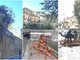 Danni da vento a Sanremo: polizia locale interviene per un albero spezzato