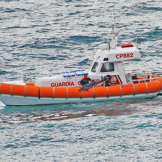 Sanremo: la guardia costiera recupera delfino spiaggiato nei pressi di Pian di Poma