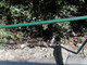Sanremo, &quot;degrado nella discesa al mare di Bussana&quot;: la segnalazione (Foto)