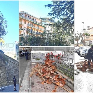 Danni da vento a Sanremo: polizia locale interviene per un albero spezzato