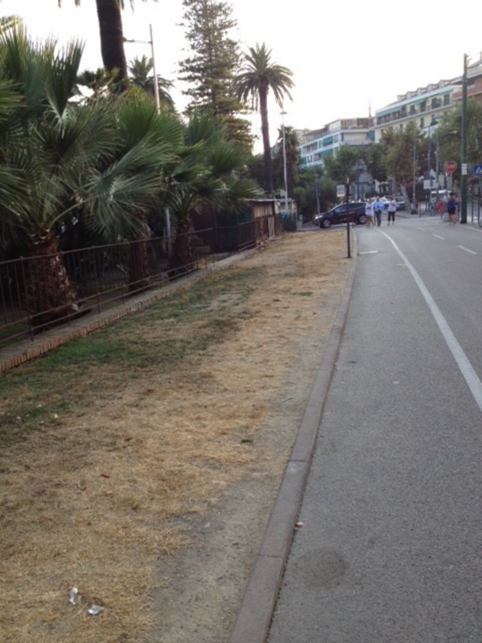 Sanremo: degrado del verde sulla ciclabile, la segnalazione (con foto) di un lettore