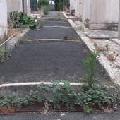 Sanremo: degrado e sporcizia al cimitero di Valle Armea, la segnalazione con foto di un letture