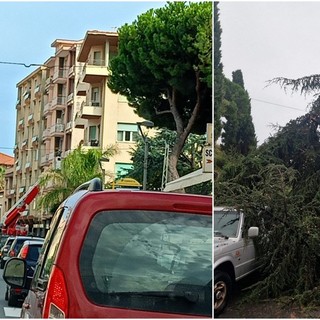 Maltempo a Ferragosto: pioggia e forte vento creano disagi a Vallecrosia (Foto)