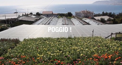 &quot;Poggio!&quot;: attesa per domani l'uscita del documentario di Laurent Galinon sulla celebre salita della Milano-Sanremo (video)