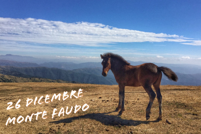 Nel giorno di Santo Stefano una escursione sul Monte Faudo con Ponente Experience