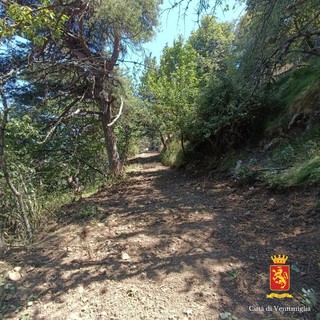 Ventimiglia, da Villatella al monte Grammondo: quasi ultimati i lavori di manutenzione dell’ex strada militare (Foto)