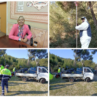 Diano Marina, ‘guerra’ alla Processionaria: rimossi oltre 600 nidi sul Berta. L’assessore Feltrin: “Intervento necessario, valutiamo ulteriori soluzioni”