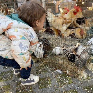 Fiera della Candelora a San Bartolomeo al Mare