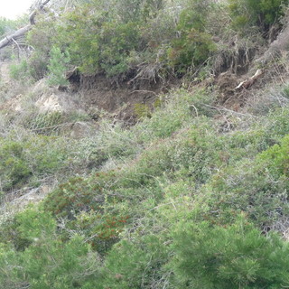 Cervo: frana al Porteghetto, chiusa anche la ferrovia, lavori per almeno una settimana