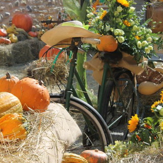 Domenica prossima nel centro storico di Vallecrosia la 16a edizione della 'Festa della Zucca'