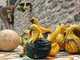 Vallecrosia, torna la Festa della Zucca: modifiche alla viabilità