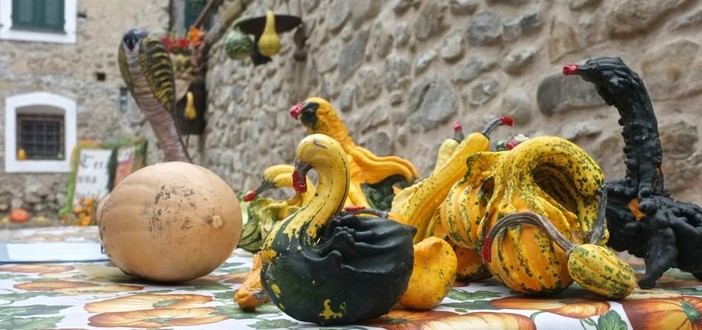 Vallecrosia: domenica prossima torna la 'Festa della Zucca' nel centro storico