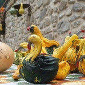 Vallecrosia, torna la Festa della Zucca: modifiche alla viabilità