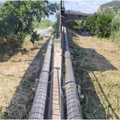 Ventimiglia, vegetazione e rifiuti nel fiume Roya: al via la pulizia (Foto)