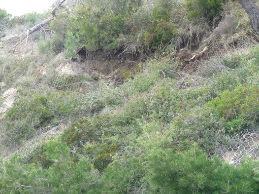 Cervo: frana al Porteghetto, chiusa anche la ferrovia, lavori per almeno una settimana