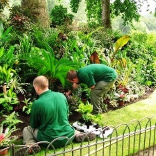 Cna Imperia: corso di qualifica per giardinieri e manutentori del verde, al via i percorsi formativi professionali