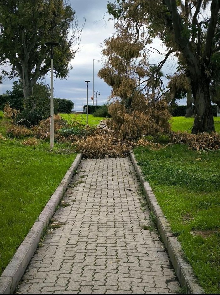 Ventimiglia, rami caduti nei giardini Martiri delle Foibe. Scullino: &quot;Due mesi in questo stato&quot;