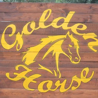 Taggia: questo weekend al centro ippico il &quot;Trofeo Golden Horse&quot;. Tanti eventi collaterali per grandi e piccini e l'immancabile &quot;Country Line Dance&quot;