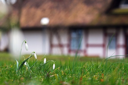 Poltrona sospesa: il must per il tuo giardino