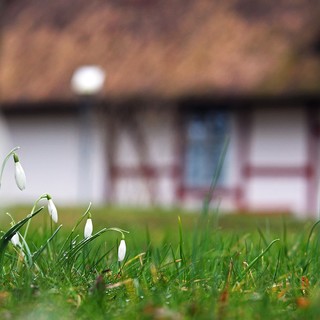 Poltrona sospesa: il must per il tuo giardino