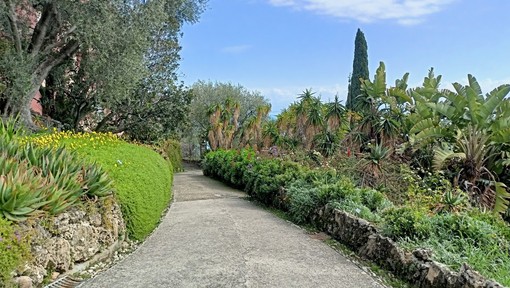 Ventimiglia: ogni mercoledì ai Giardini Hanbury visita guidata all'imbrunire con aperitivo