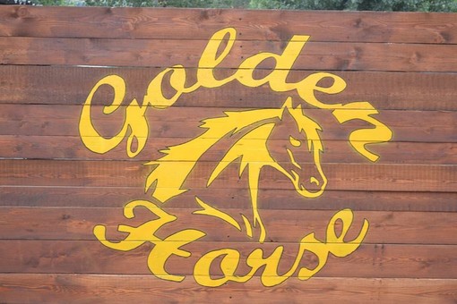 Taggia: questo weekend al centro ippico il &quot;Trofeo Golden Horse&quot;. Tanti eventi collaterali per grandi e piccini e l'immancabile &quot;Country Line Dance&quot;